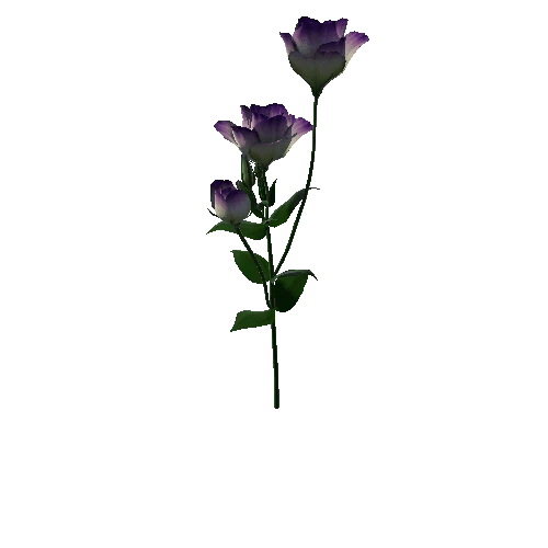 Flower Lisianthus1 4